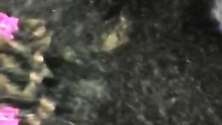 Ebony BBW Sucks Tinder Date White Cock