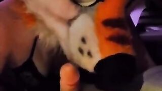 Murrsuit Blowjob 1