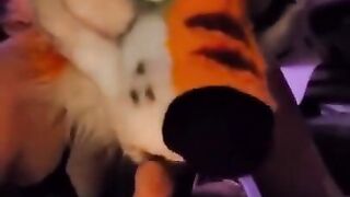 Murrsuit Blowjob 1