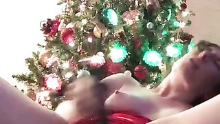 It got a little Wet in Front of the Christmas Tree