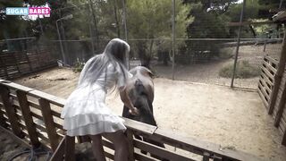 SUGARBABESTV : Fuck me like a HORSE