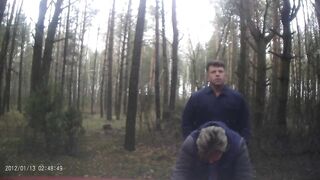 in the forest