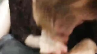 redhead loves to suck