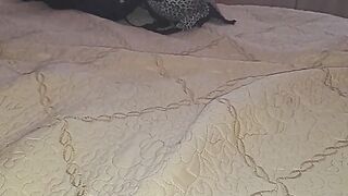 DUDE! I Just Fucked Your Mother Pt1of2 - AudreyWet