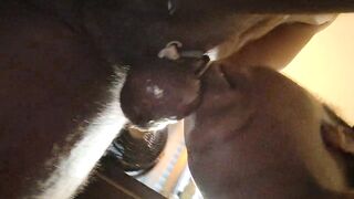 Haitian Dick Sucking
