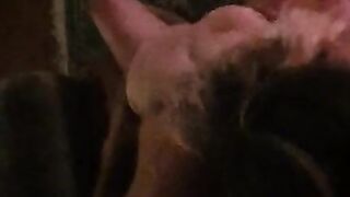 Fuck my wife while I watch
