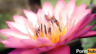 Public_2022/10/27 15:23