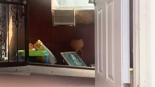 Gets caught nude flashing outside