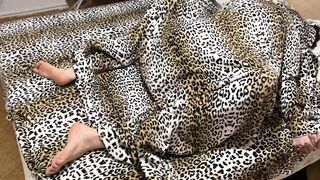 Passionate Couple Quick Fuck In Bed