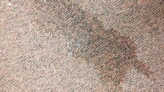 Long carpet piss