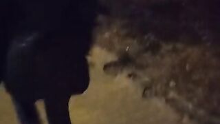 Walking nude in my hometown streets afraid to be discovered