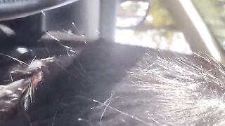 4 Adventures of Milfycalla - Episode 4 Need a Ride