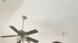 Wife’s wet cunt