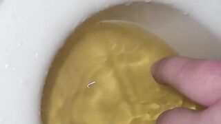 Piss in potty before I shave my hairy pussy