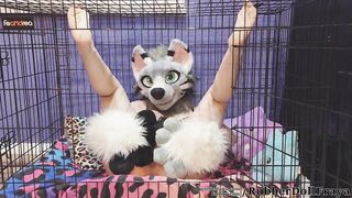 caged puppy cunt