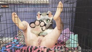 caged puppy cunt
