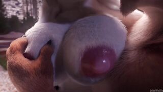 Darryl X Edelie - Furry Porn Animation