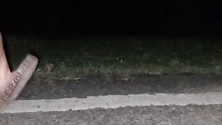 Pooja Bhabhi Was Called to the Roadside and Fucked
