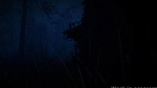 Rough preview(Missing audio)