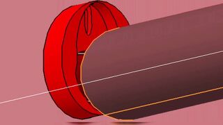 Red VAGINA Interior Fuck and BIGG Black Gray Penis