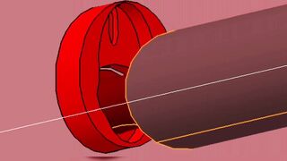 Red VAGINA Interior Fuck and BIGG Black Gray Penis