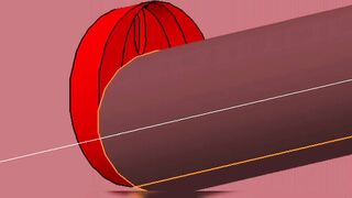 Red VAGINA Interior Fuck and BIGG Black Gray Penis