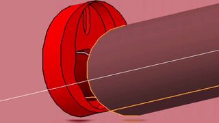 Red VAGINA Interior Fuck and BIGG Black Gray Penis