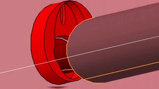Red VAGINA Interior Fuck and BIGG Black Gray Penis