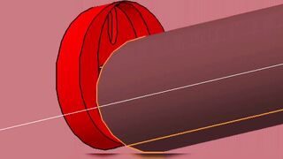 Red VAGINA Interior Fuck and BIGG Black Gray Penis