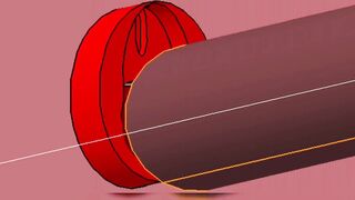 Red VAGINA Interior Fuck and BIGG Black Gray Penis
