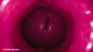 Internal Insemination