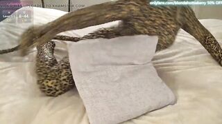Blondehottiek Chaturbate Humping Pillow in Zentai Catsuit