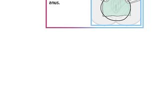 How to Use a Dental Dam
