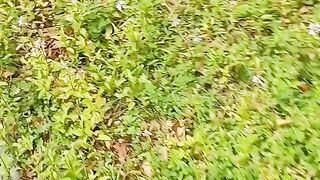 Risky Strip at Vacant House for sale