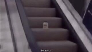 Mayonesa subiendo la escalera