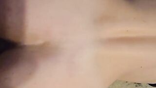 Close up doggy