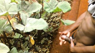 ALMOST CAUGHT IN THE BUSH???? HAD TO WEAR MY PANTS QUICKLY